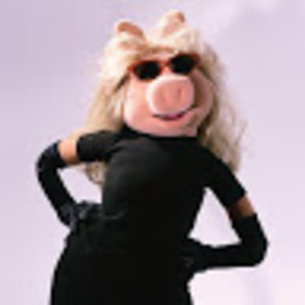 Meet your Posher, Robert